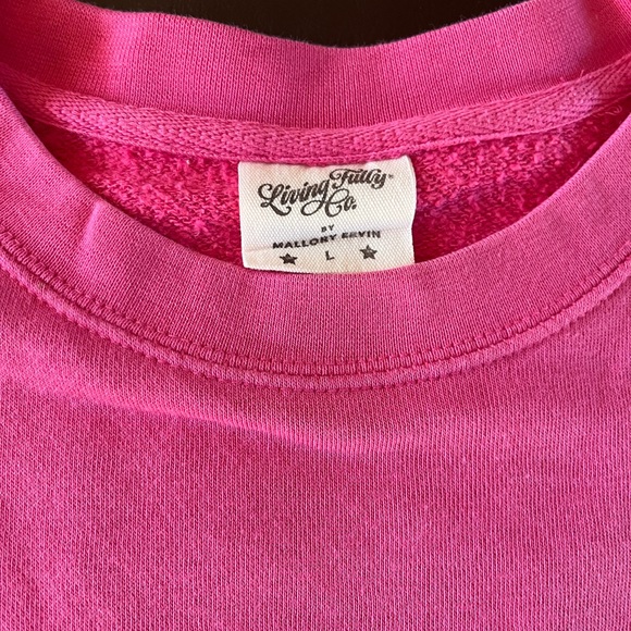 Living Fully Co - Mallory Ervin - Sweatshirts - All Size Large - GUC - Picture 4 of 12